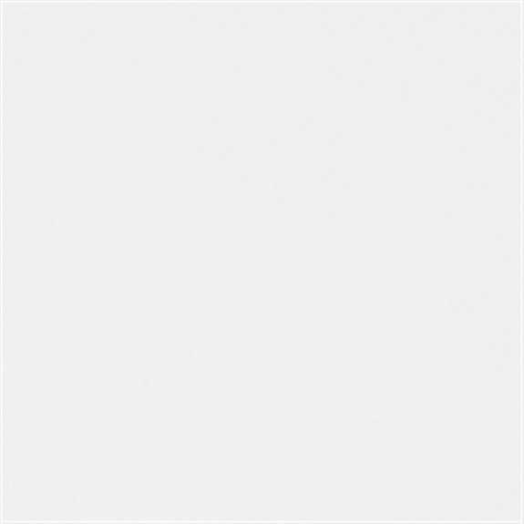 FRP Smooth Bright White 4 x 8  Class C